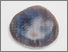 [thumbnail of Eyeballing (a25-a26.jpg) Rachel Adams Laser engraved agate, paint]