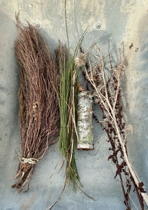 Foraged dry samples, Altyre Estate.