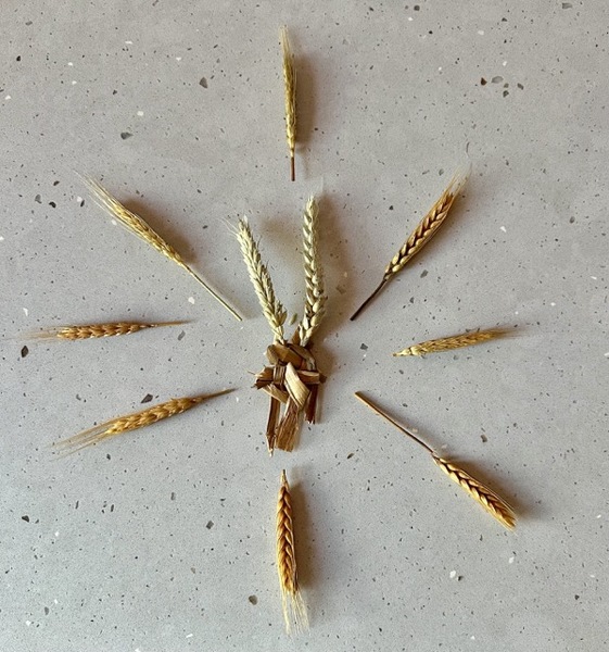 Small natural offering to Mother Nature