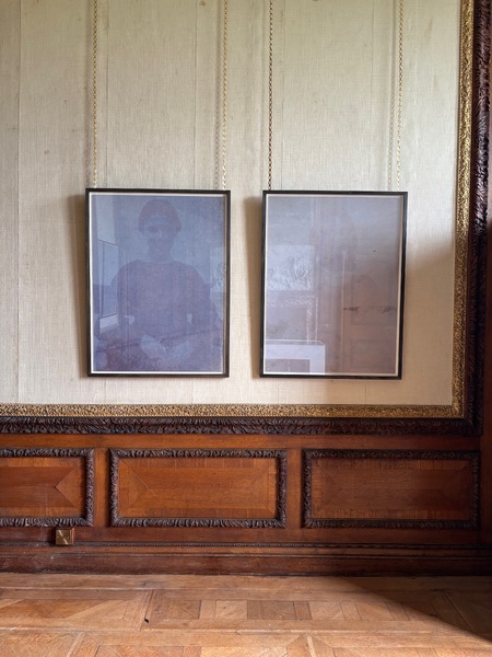 'lilac positives' (series of photographs)