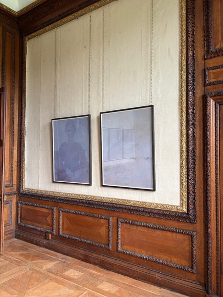 'lilac positives' (series of photographs)
