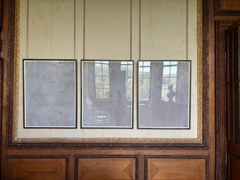 'lilac positives' (series of photographs)