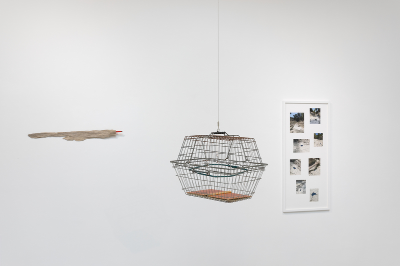 Gallery view (Studio Pavilion Gallery)
