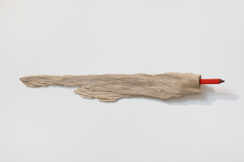 'Strange Fish' (2026) Carved driftwood with ‘one shot’ enamel paint. 15 x 82 x 4cm