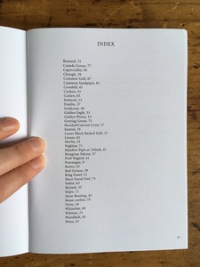 [img]