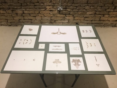 [img]