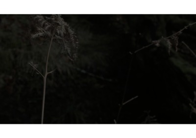 [img]
