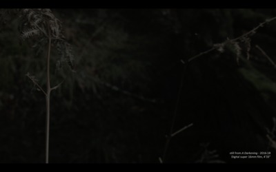 [img]