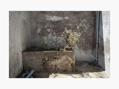 Mining the Animal - Silk Town