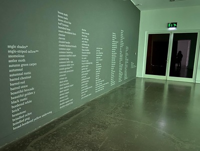 [img]