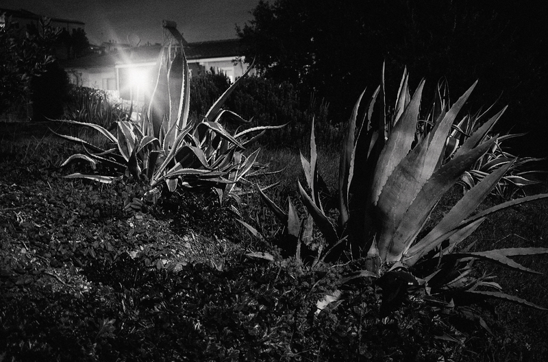 Work exhibited at group exhibition "Night Shift"