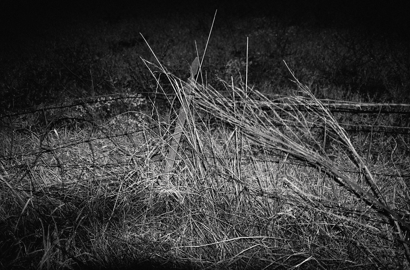 Work exhibited at group exhibition "Night Shift"